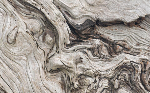 Driftwood Textures