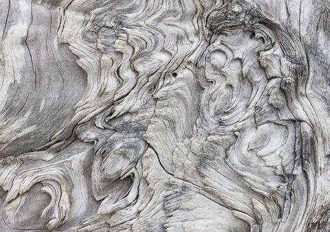 Weathered Driftwood Textures