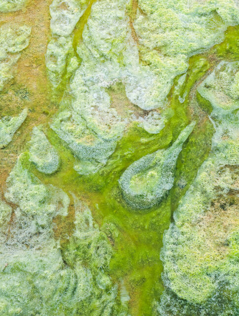 Hot Spring Abstract 2