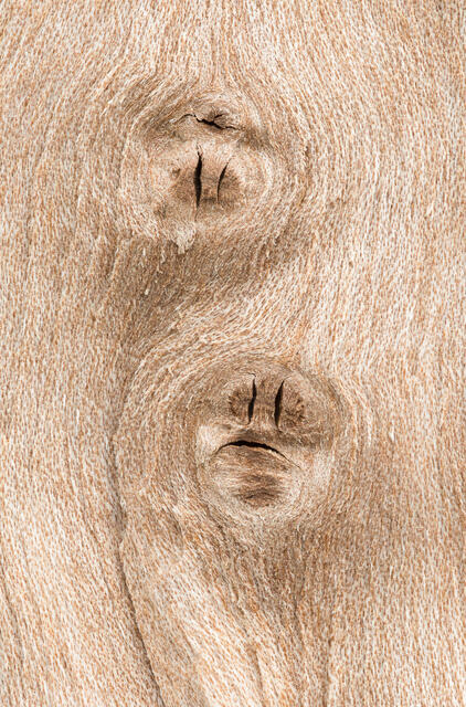 Wood grain and Knots