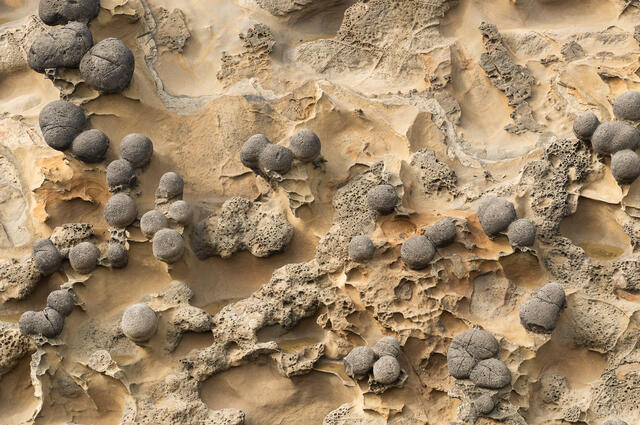 Sandstone and Concretions