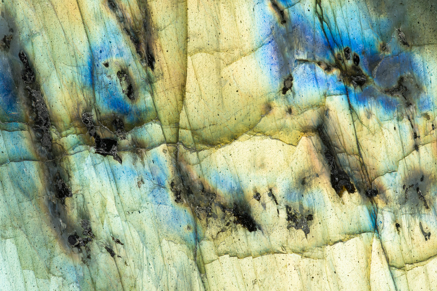 Macro photograph of a piece of labradorite (a member of the feldspar group of minerals); from Maniry, Madagascar Image #2573