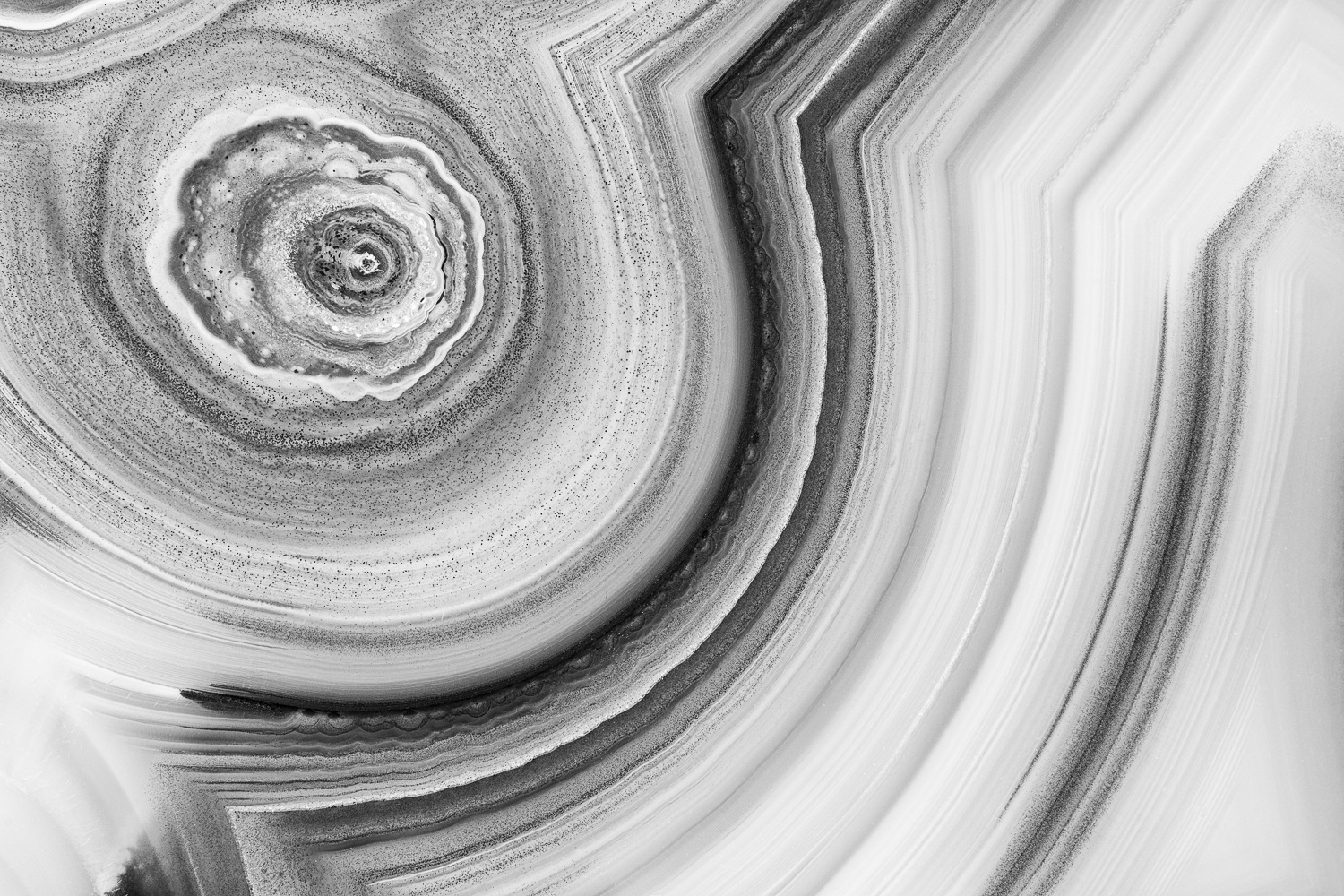 Macro photograph of lines and circles in a Brazilian agate; converted to black and white. Image #2631BW
