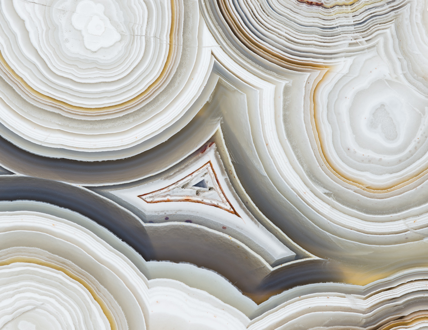 Macro photograph of the banding pattern in a laguna lace agate from Mexico Image #3234