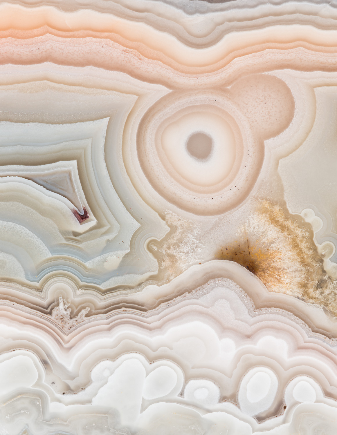 Close up of the detail a cut and polished agate from Morocco.  Agates are a form of microcrystalline quartz and consist primarily...