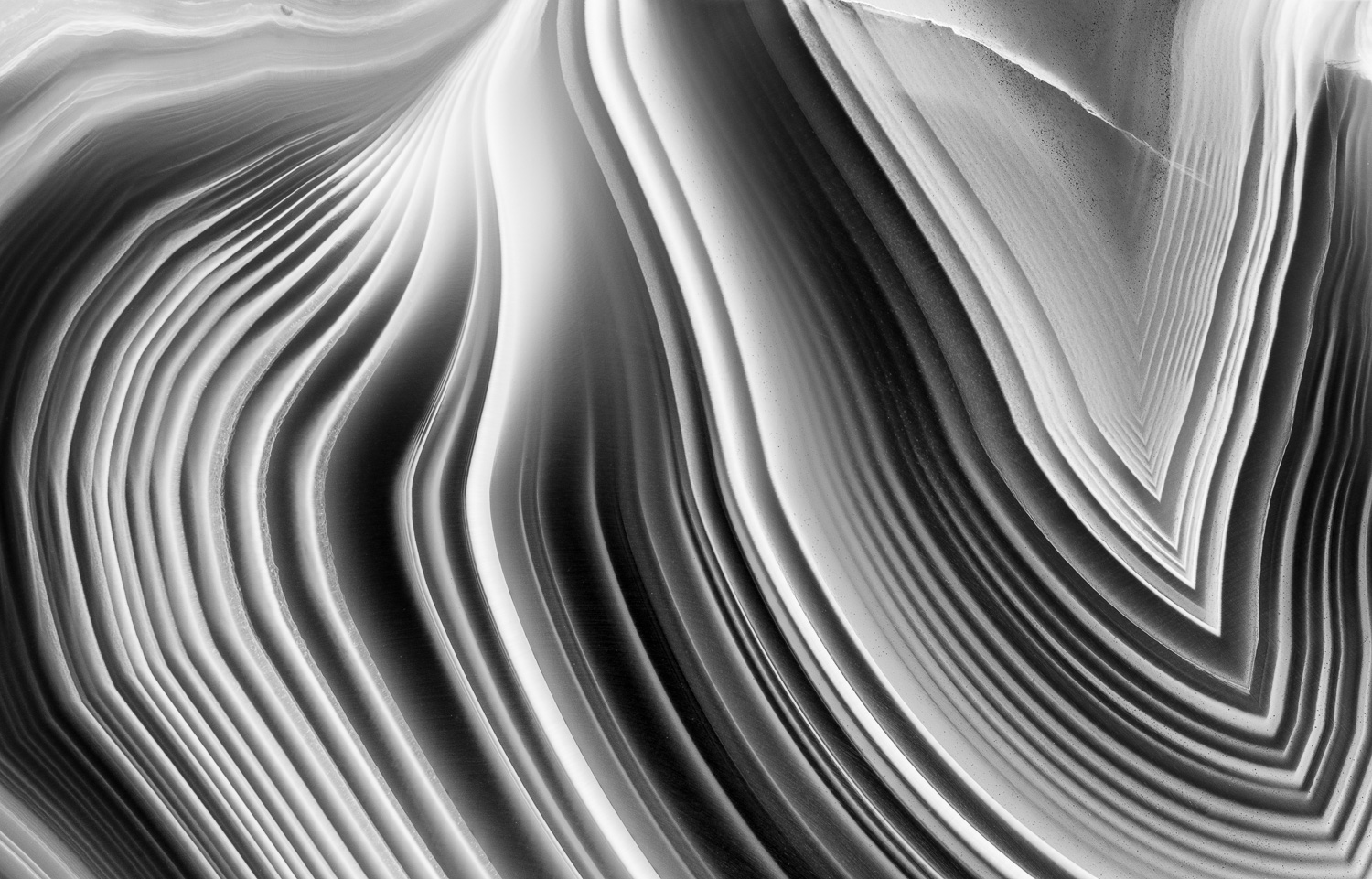 Macro photograph of the linear patterns in an agate from Botswana; converted to black and white. Image #3506