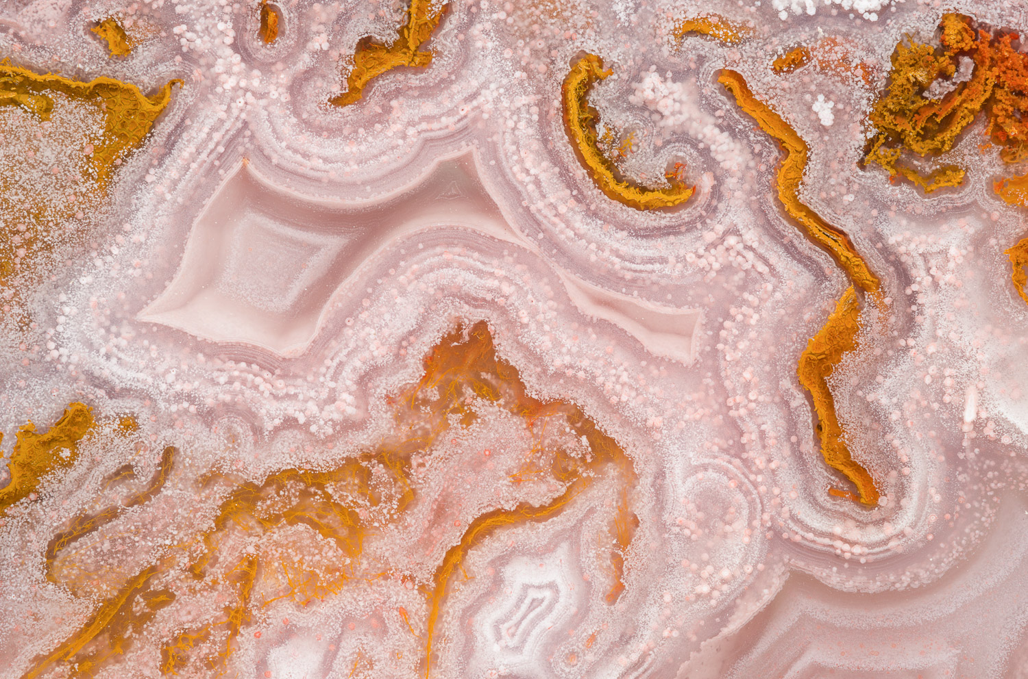 Macrophotograph of a colorful cut and polished Hijo del Sol agate from Mexico. Image #3865