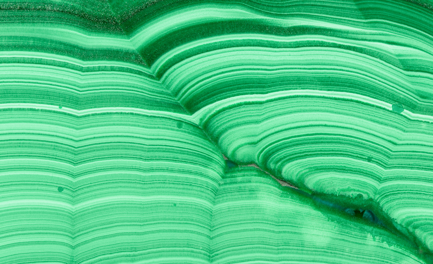 Macrophotograph of a cross-sectioned and polished malachite stalactite from the Democratic Republic of the Congo.  Malachite...