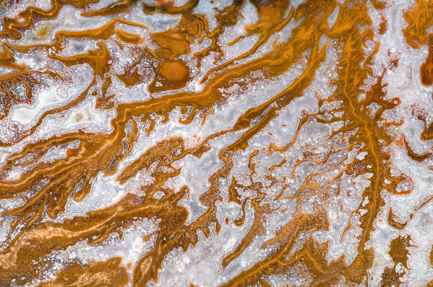 Macrophotograph of an agate from the Wingate Pass area near Death Valley, California.  Also known as 'Death Valley Plume Agate...