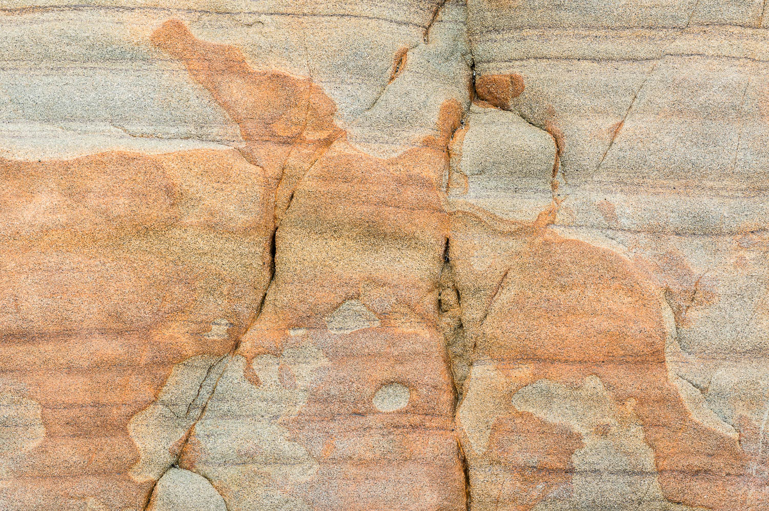 Patterns in sandstone on Beach 4; Olympic National Park, Washington coast. Image #4292