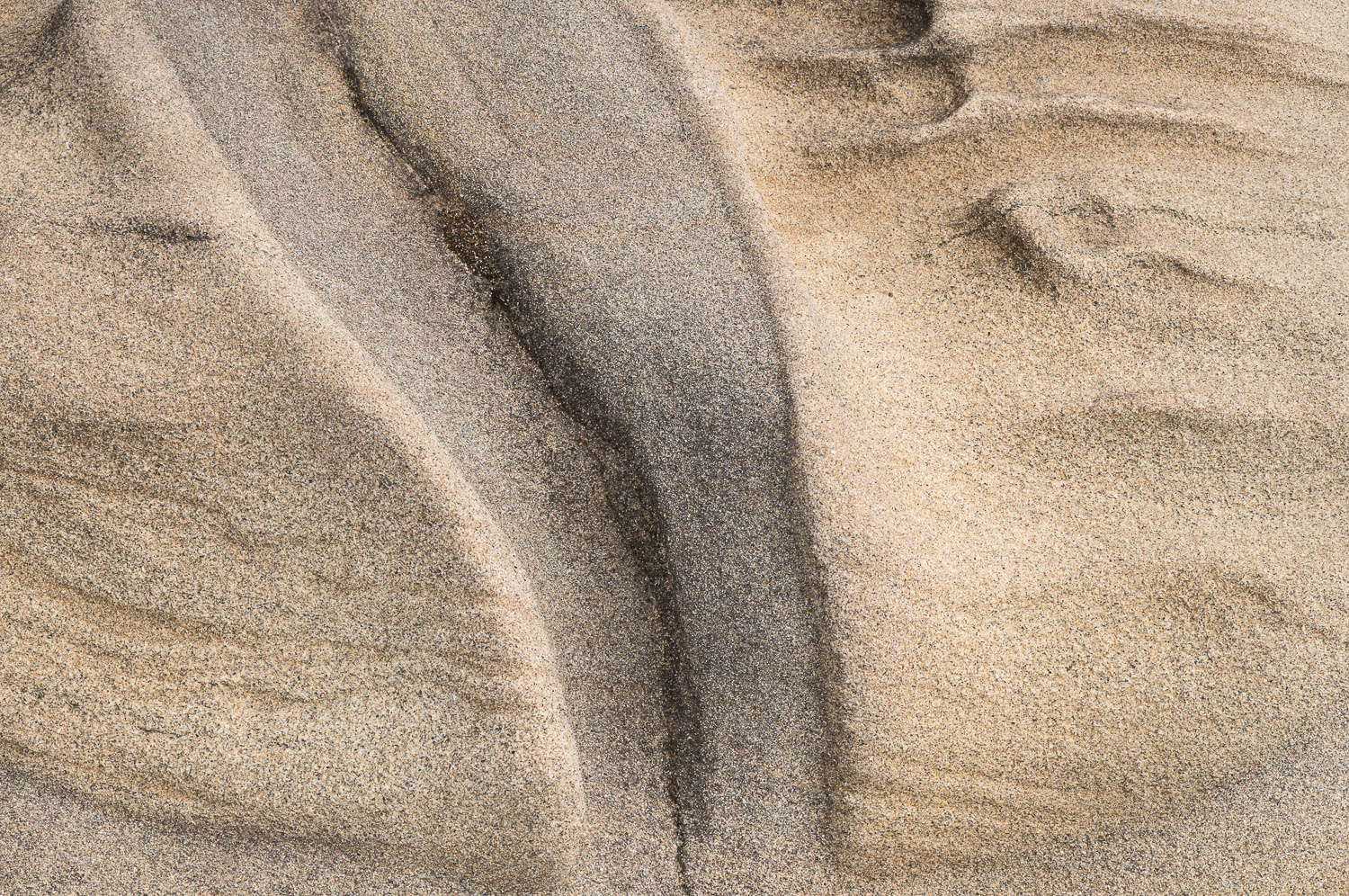 Close up of patterns in sandstone at Shore Acres State Park on the Oregon coast. Image #4412