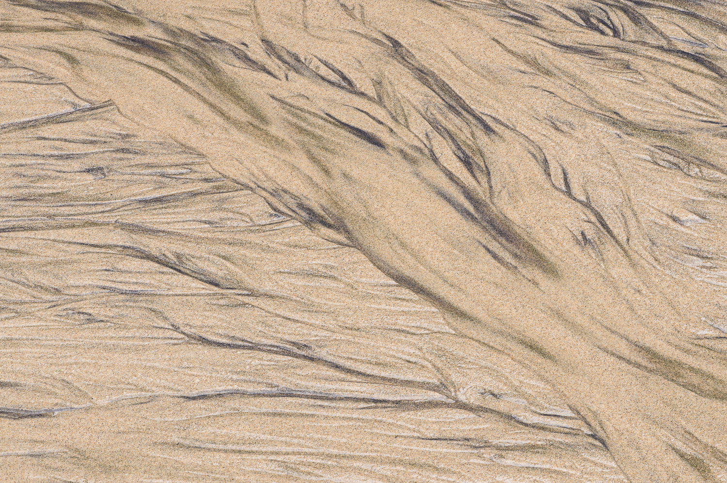 Patterns created by rainwater runoff as it courses over beach sand on the Oregon coast. Image #4601