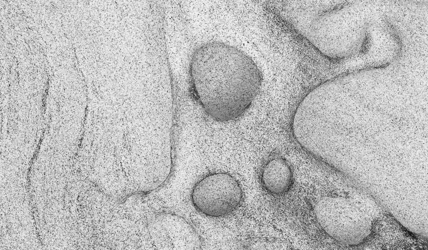 Sandstone close up along the shoreline of Samish Bay; Puget Sound, Washington State; converted to black and white Image #4688BW...