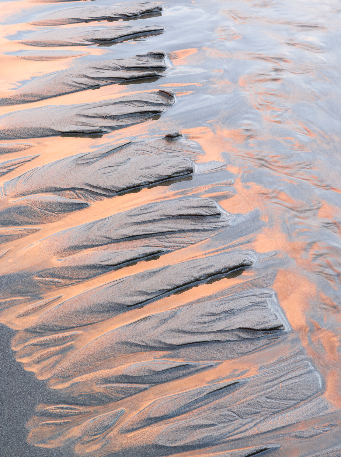 Sunset colors reflect off the wet sand of Second Beach; Olympic National Park, Washington coast Image #743