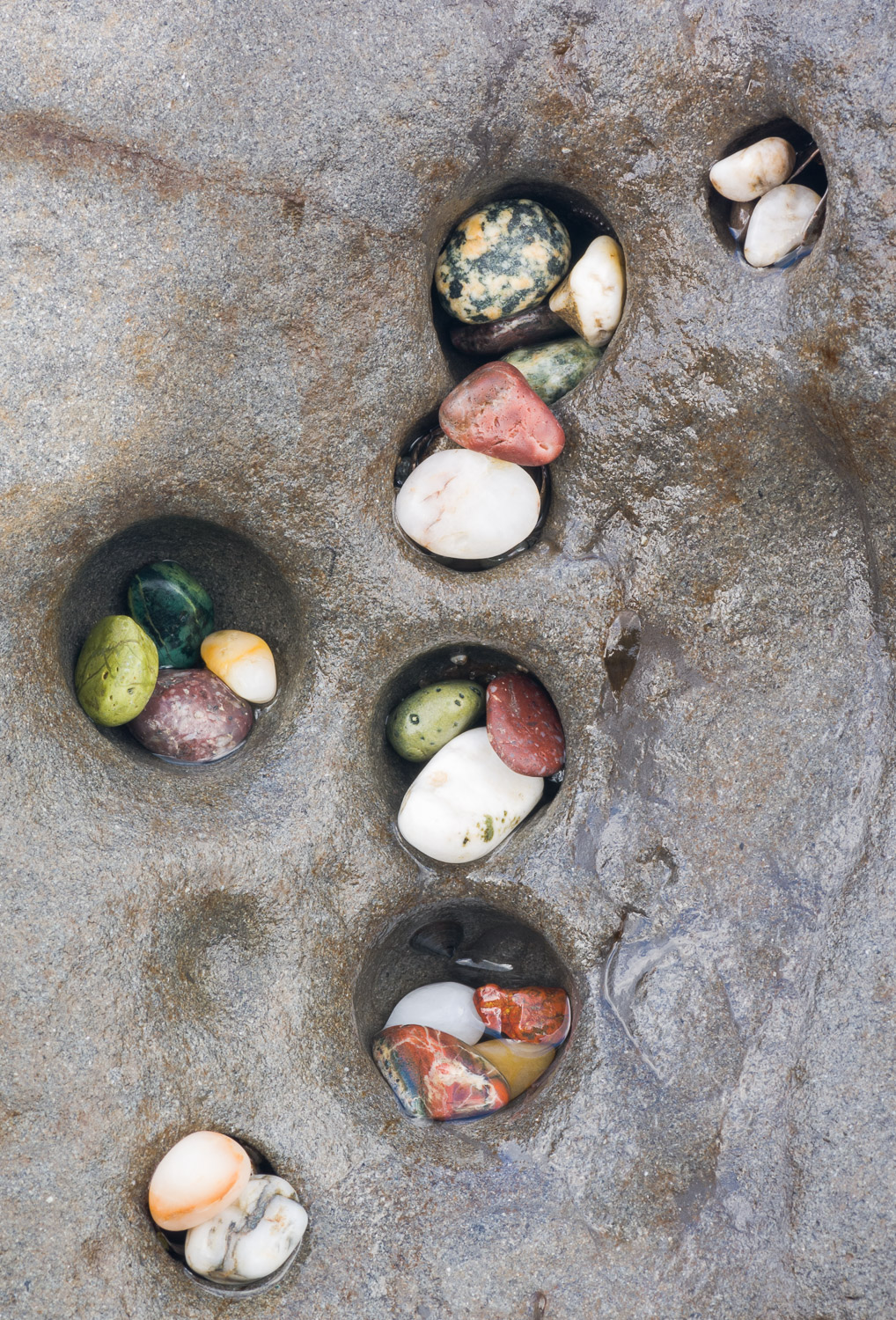 Colorful pebbles lying in holes in a larger rock are exposed at low tide on Rialto Beach; Olympic National Park; Washington coast...